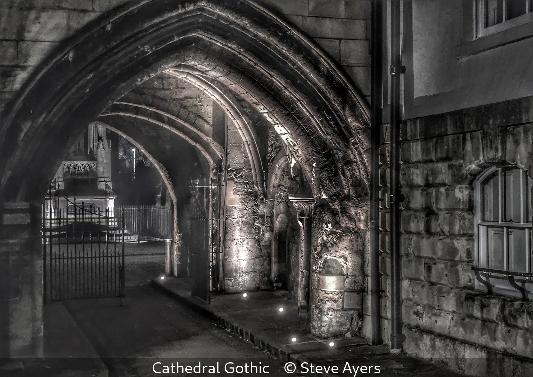 17_Cathedral Gothic_Steve Ayers_.jpg