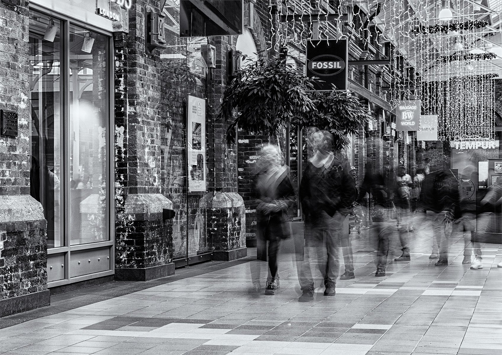 Window Shopping by Dave Houston