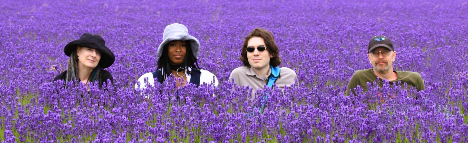 Lost in Lavender by Margaret Robson