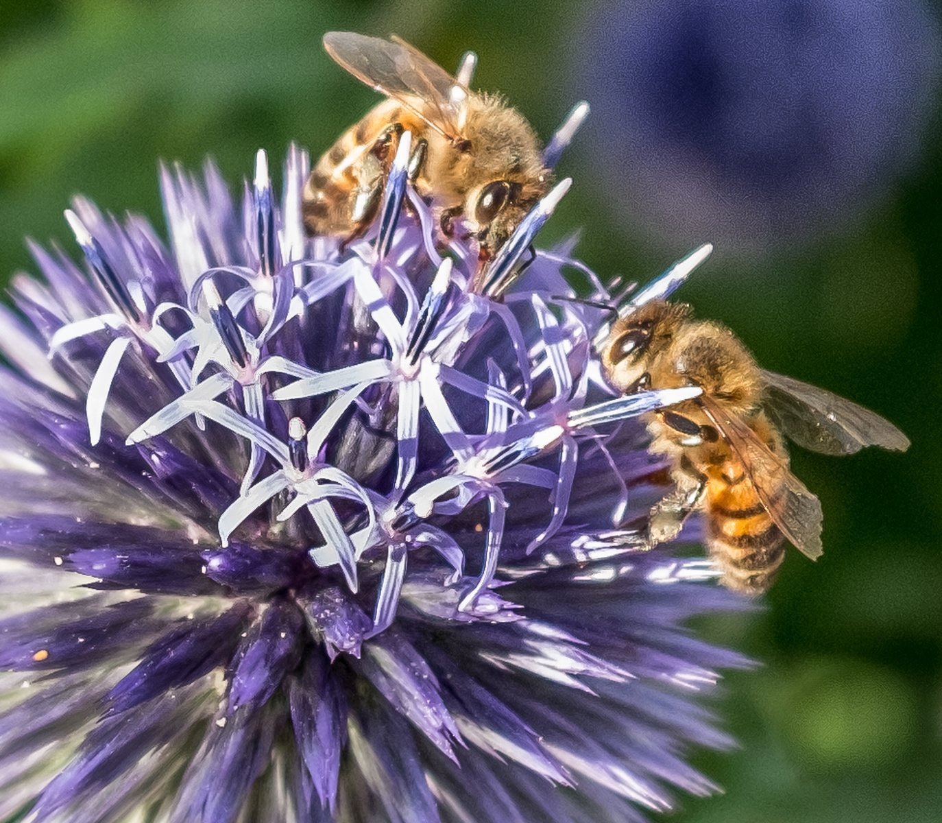 Eye to Eye by John Hillier