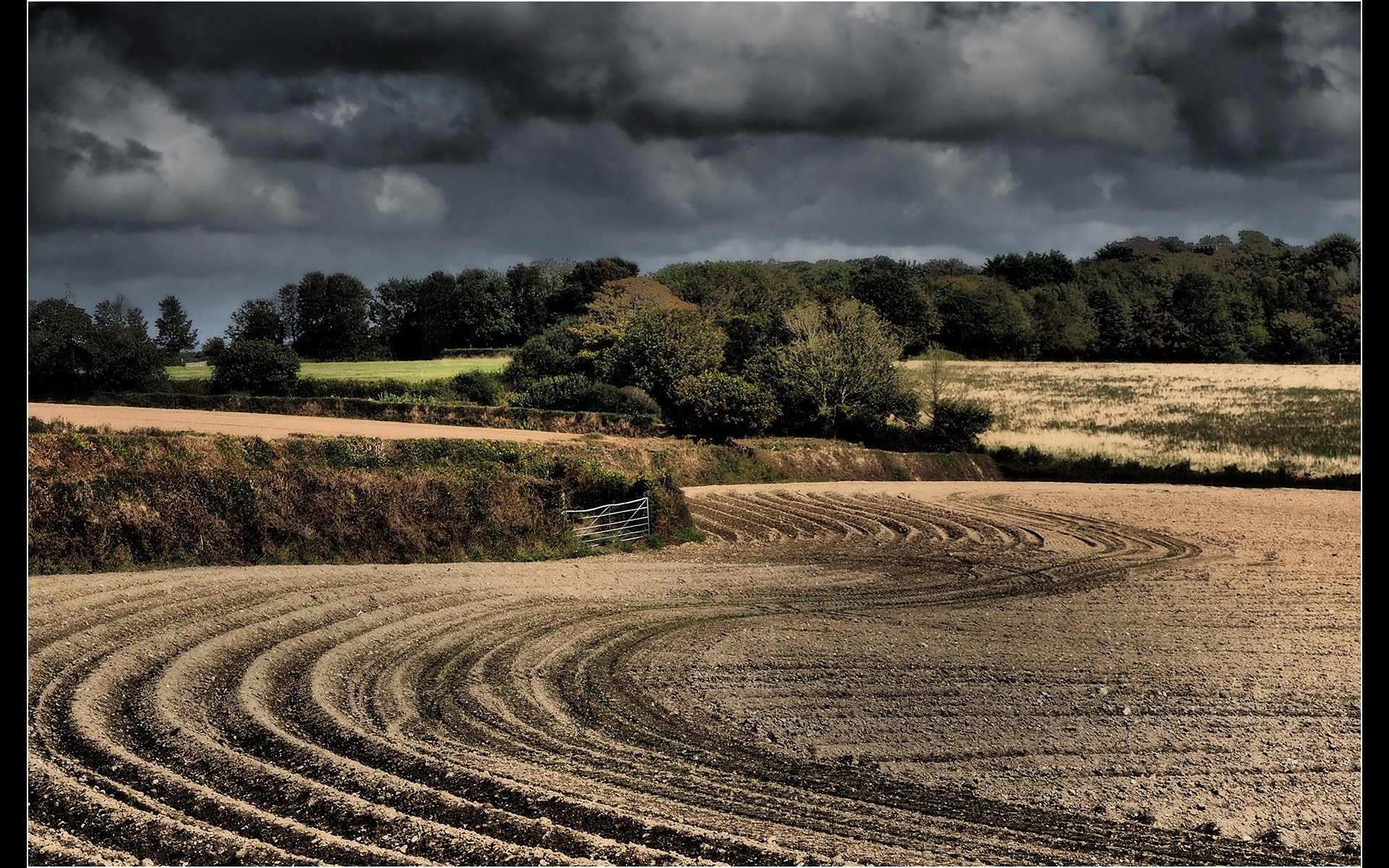 Perfectly Ploughed by Patricia Sandford