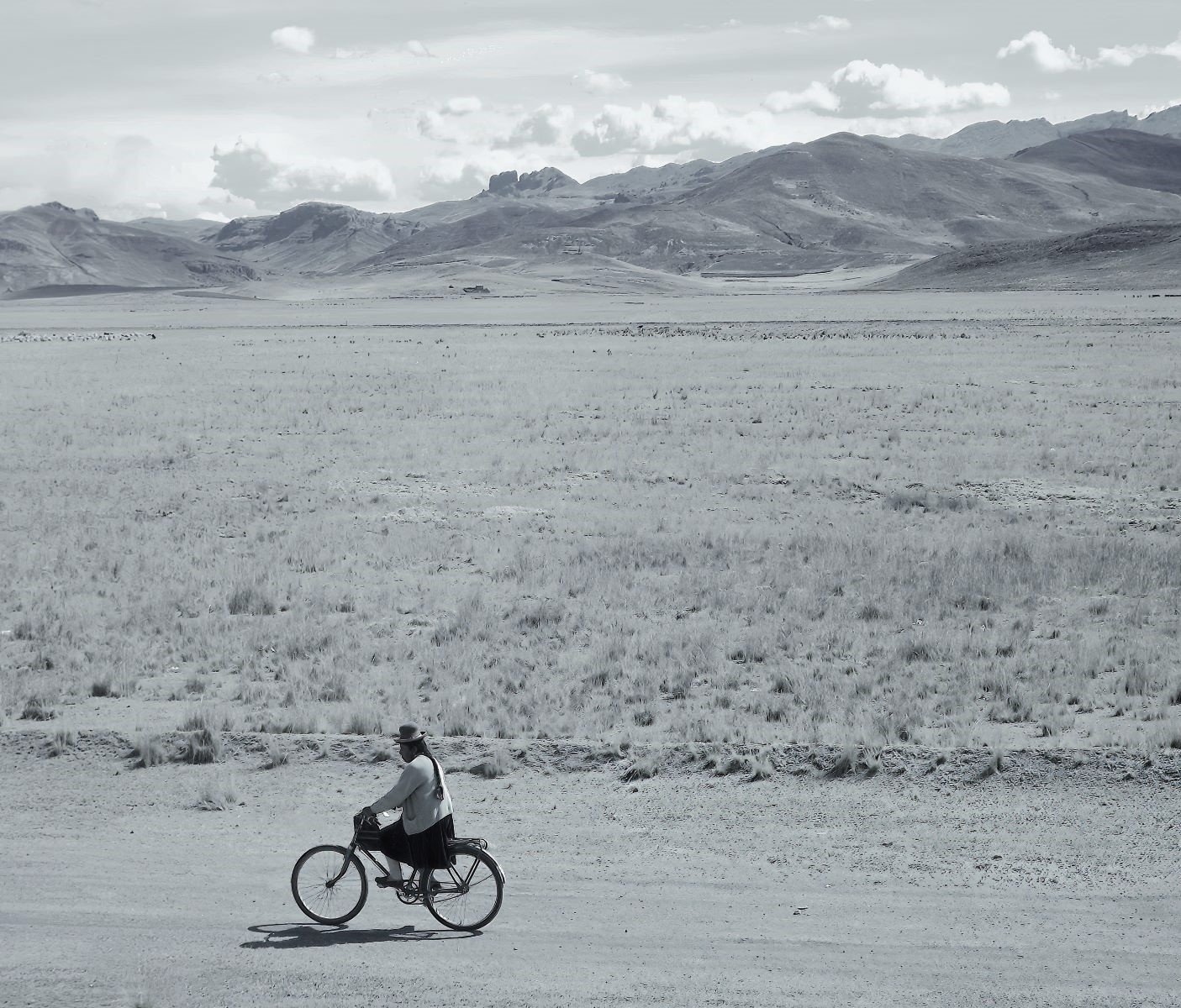 High Plains Cyclist by Mark Savagar