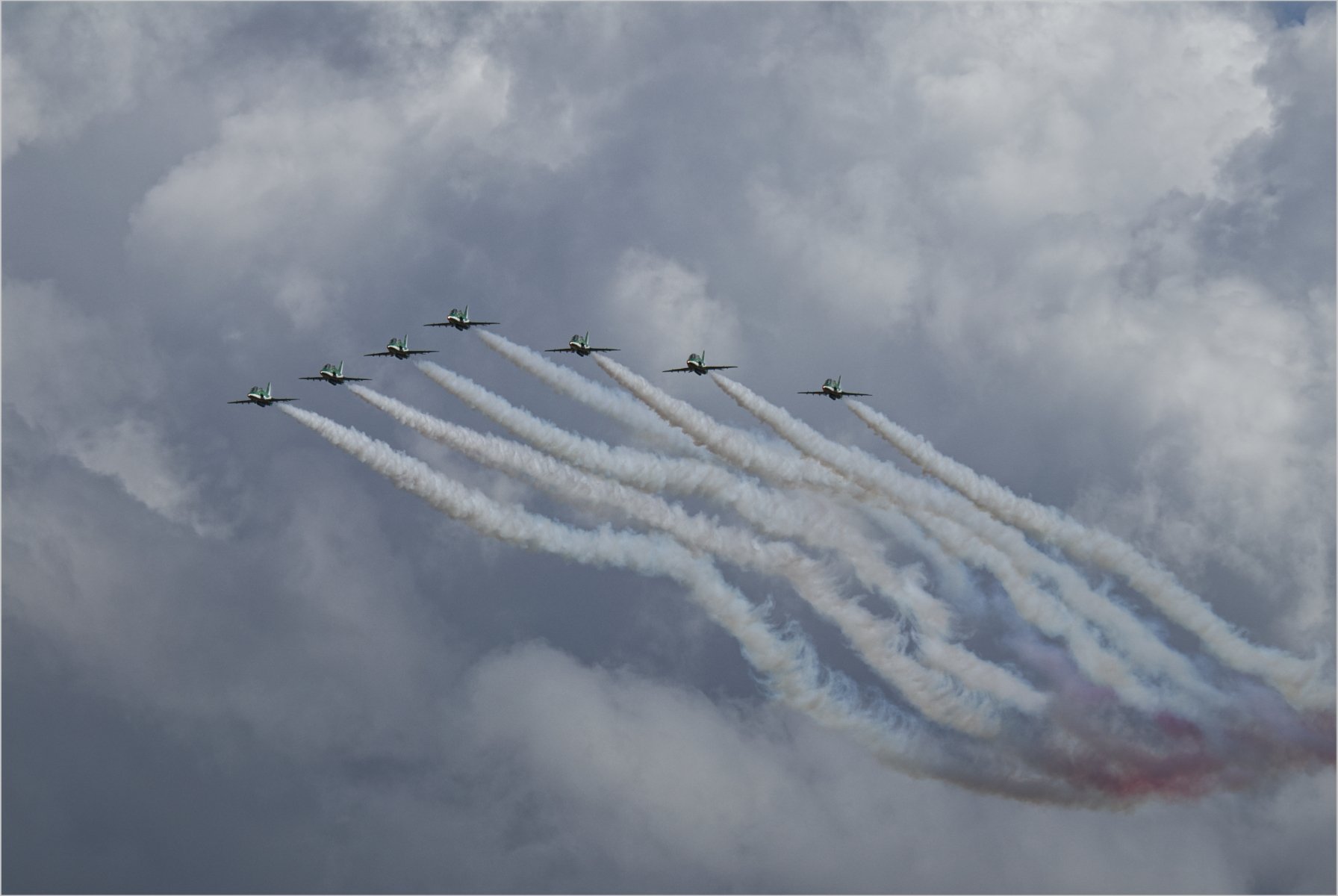 Saudi Hawks by Mark Capener