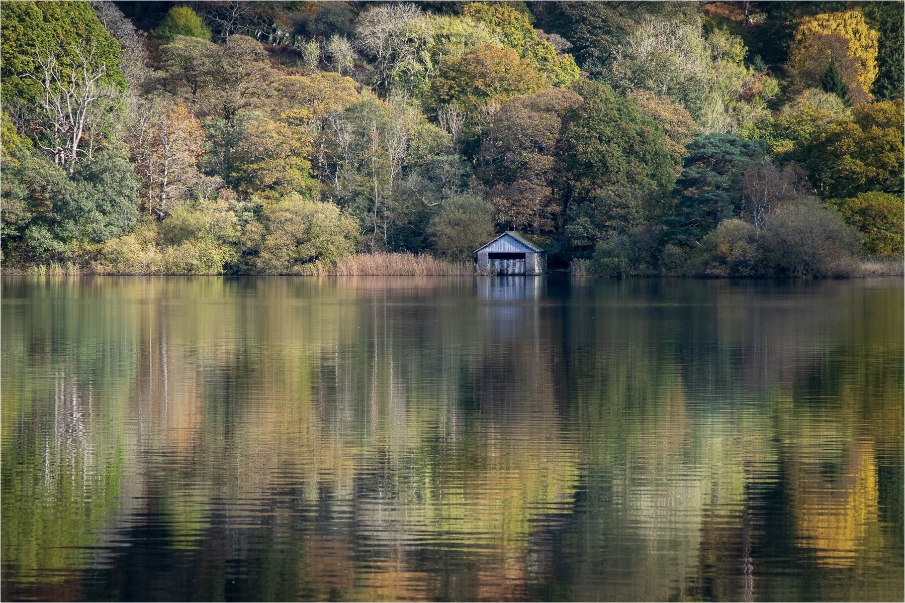 Rydal Water Boat House 2 by Angela Danby