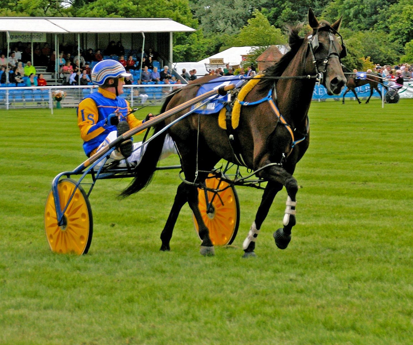 Trotting by Jim Oates