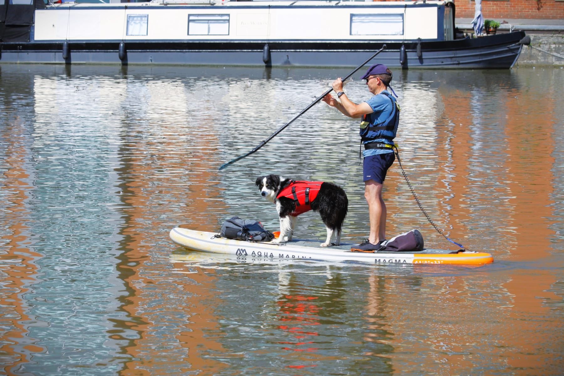 One Man and His Dog Paddle Boarding