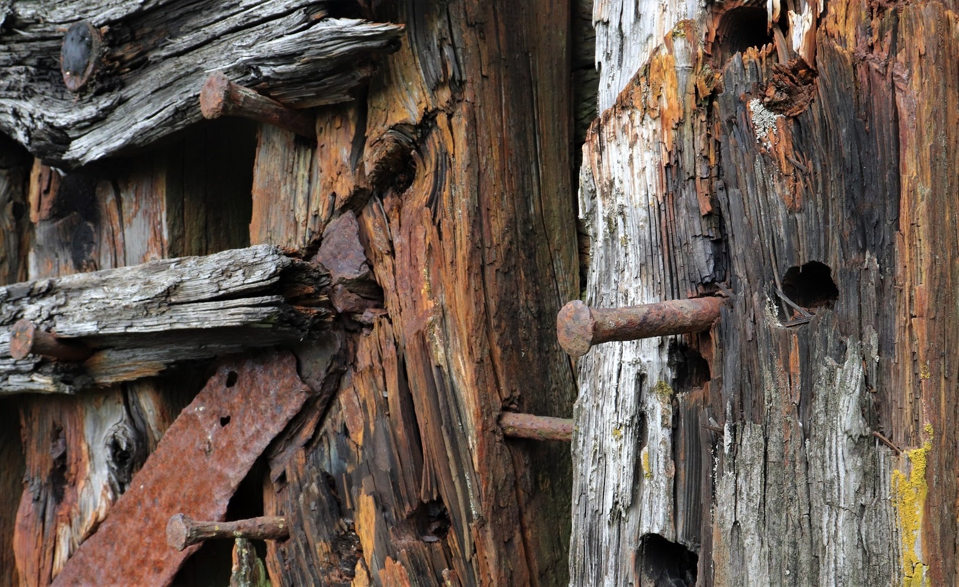 Rusty Wood by Mark Savagar