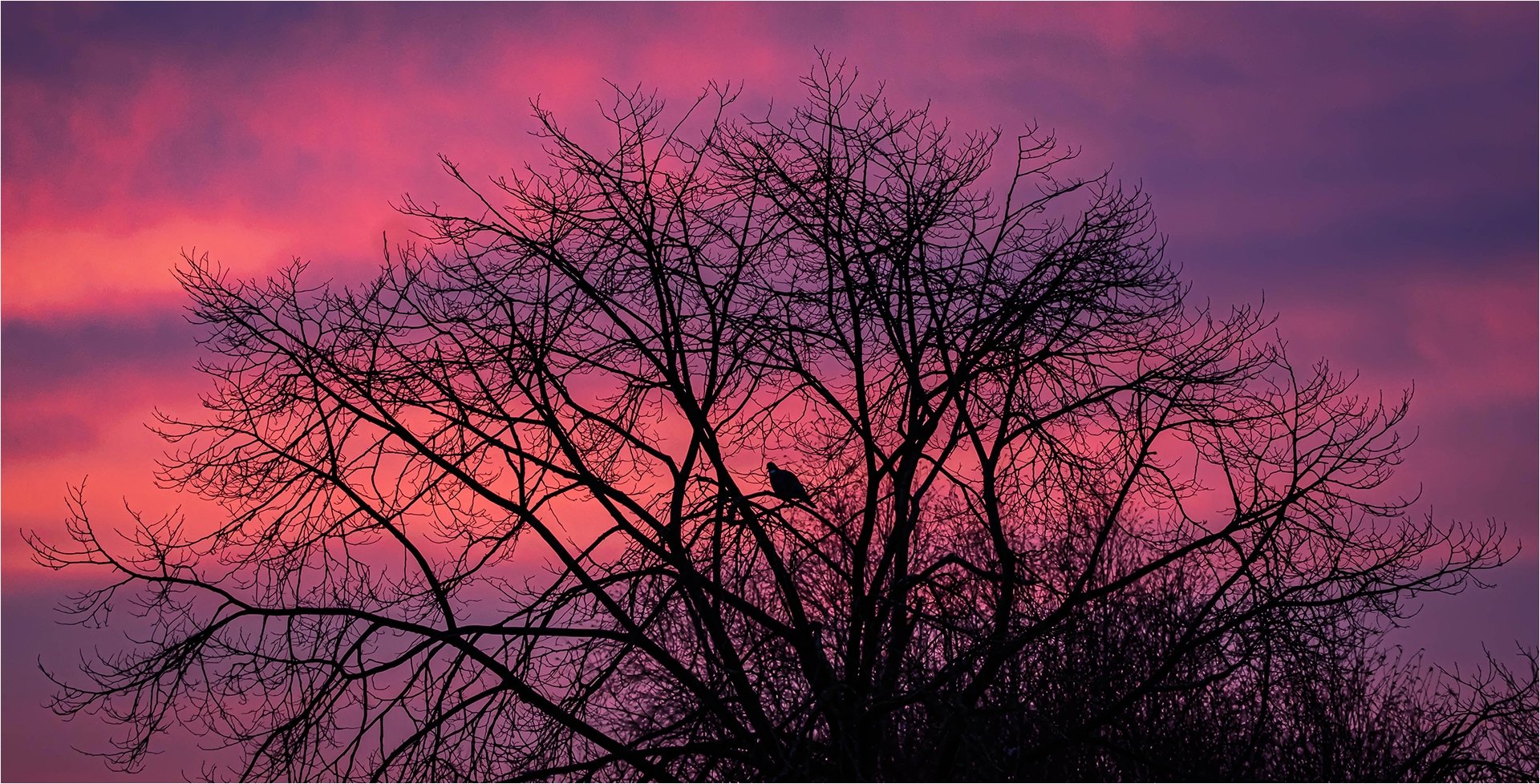 Sunrise by Janet Lancaster