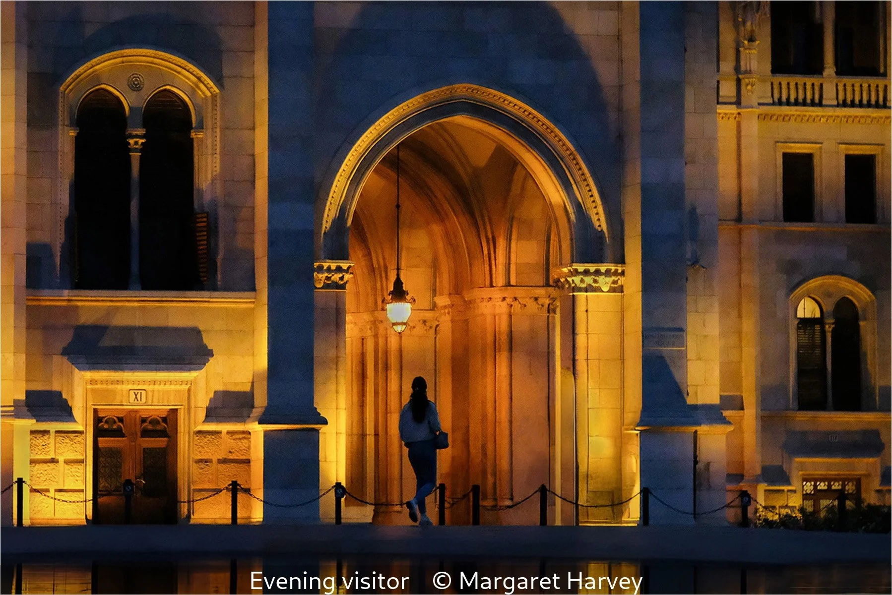 16_Evening visitor_Margaret Harvey_.jpg