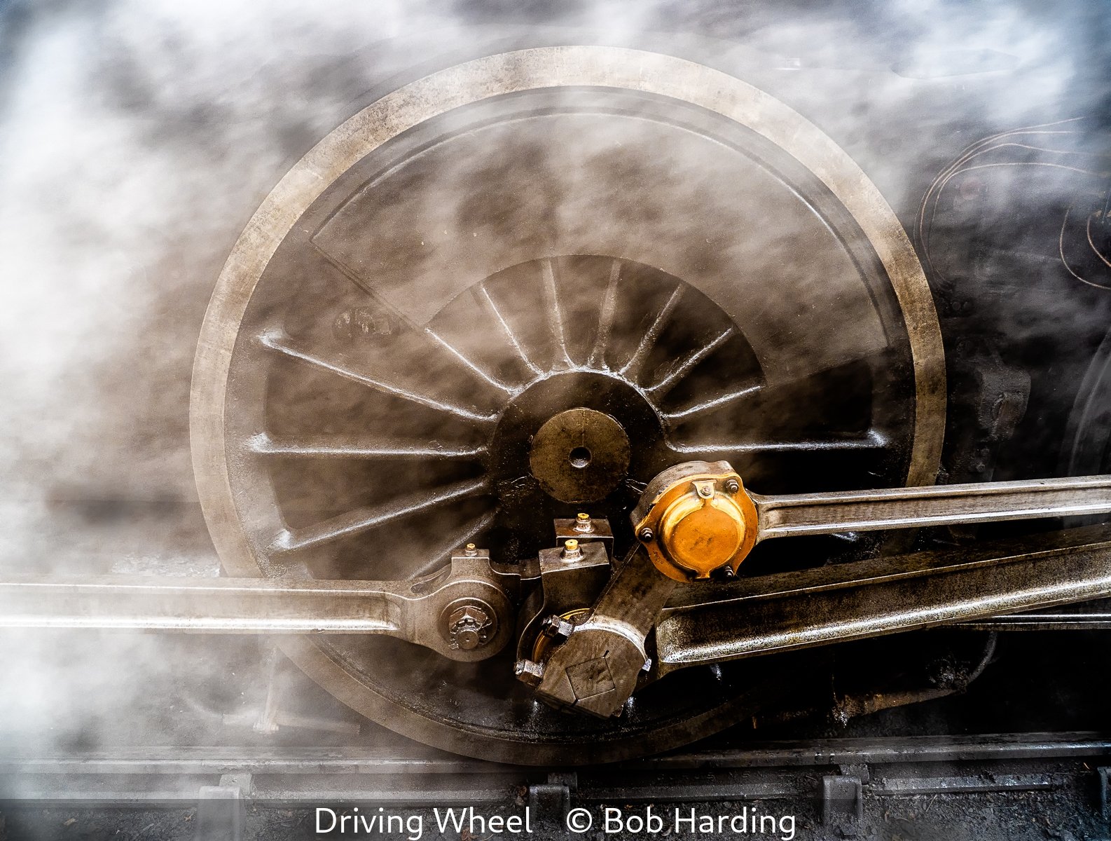 15_Driving Wheel_Bob Harding_.jpg
