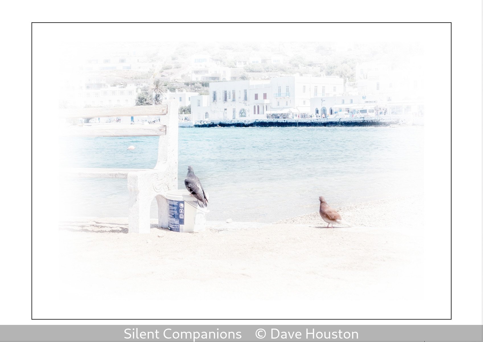 18_Silent Companions_Dave Houston_.jpg