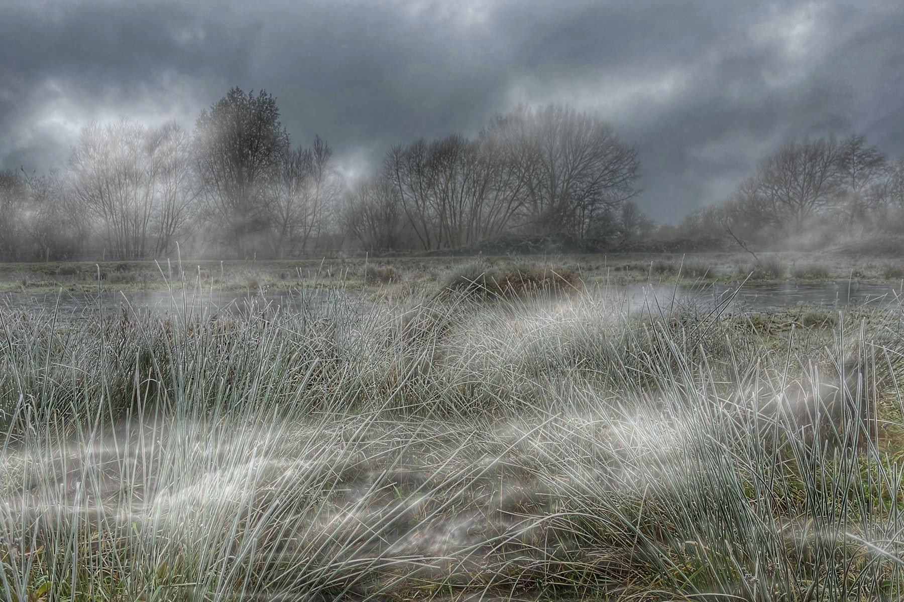 The Cold Breath of Winter by Margaret Robson 18 points