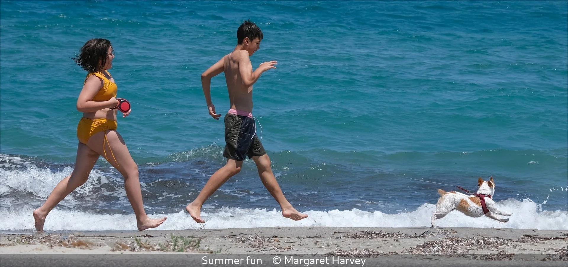 20_Summer fun_Margaret Harvey_.jpg
