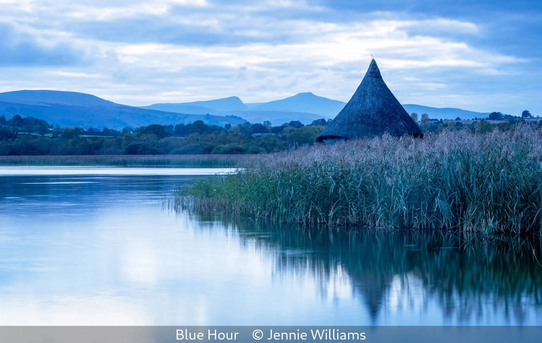 17_Blue Hour_Jennie Williams_.jpg
