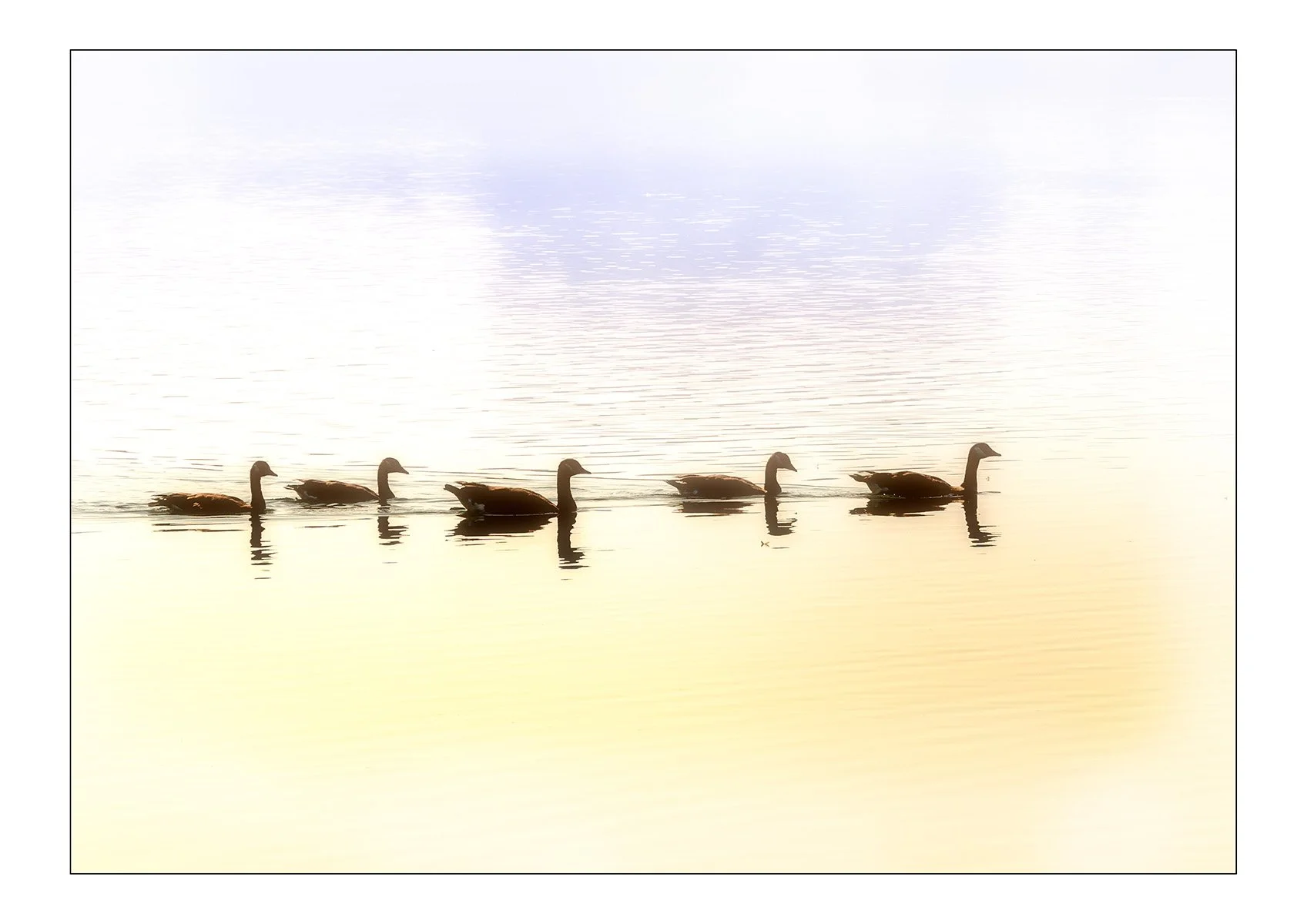 Silent Procession by Dave Houston