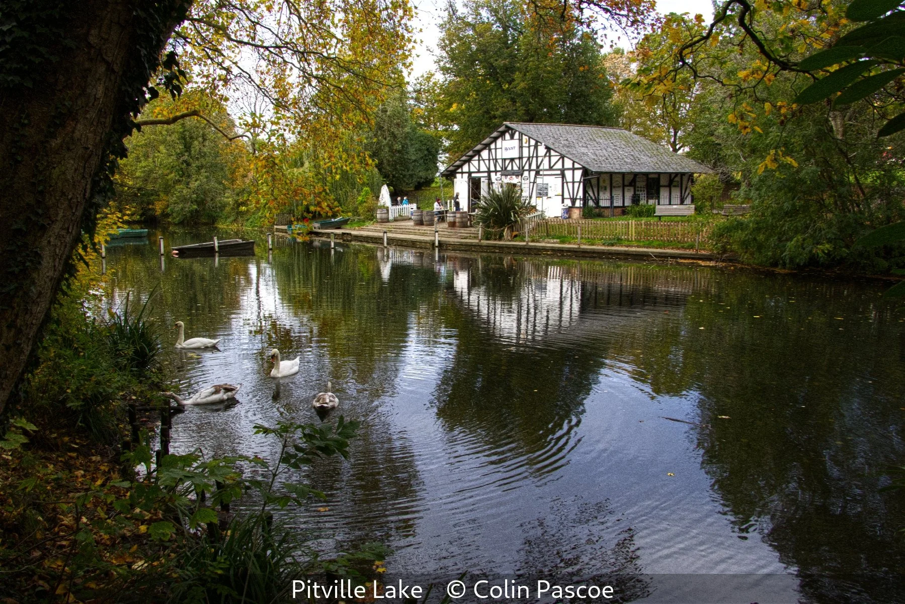 16_Pitville Lake_Colin Pascoe_.jpg