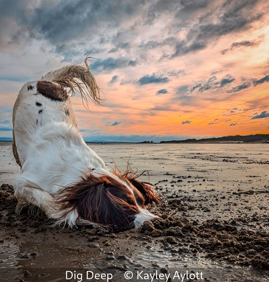 16_Dig Deep_Kayley Aylott_.jpg