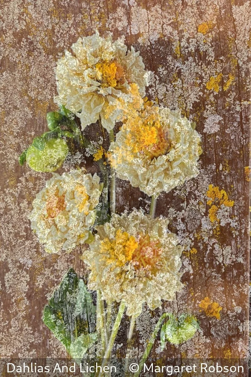 17_Dahlias And Lichen_Margaret Robson_.jpg