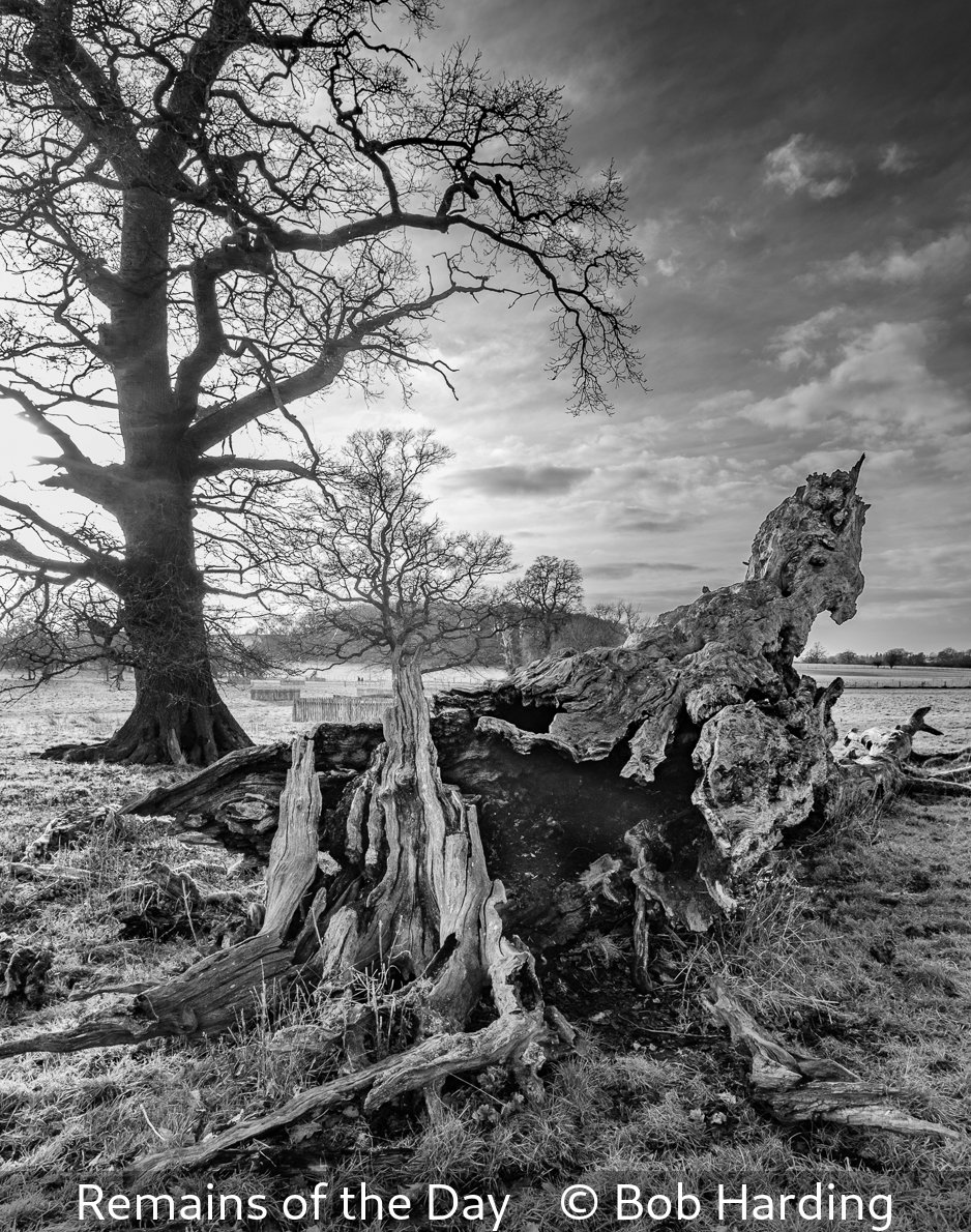 16_Remains of the Day_Bob Harding_.jpg