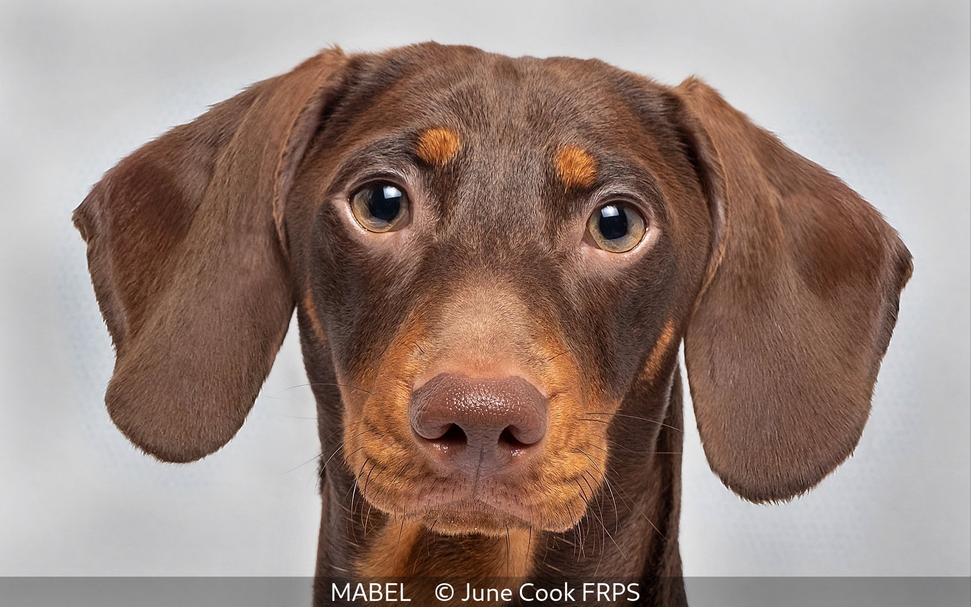20_MABEL_June Cook_FRPS.jpg