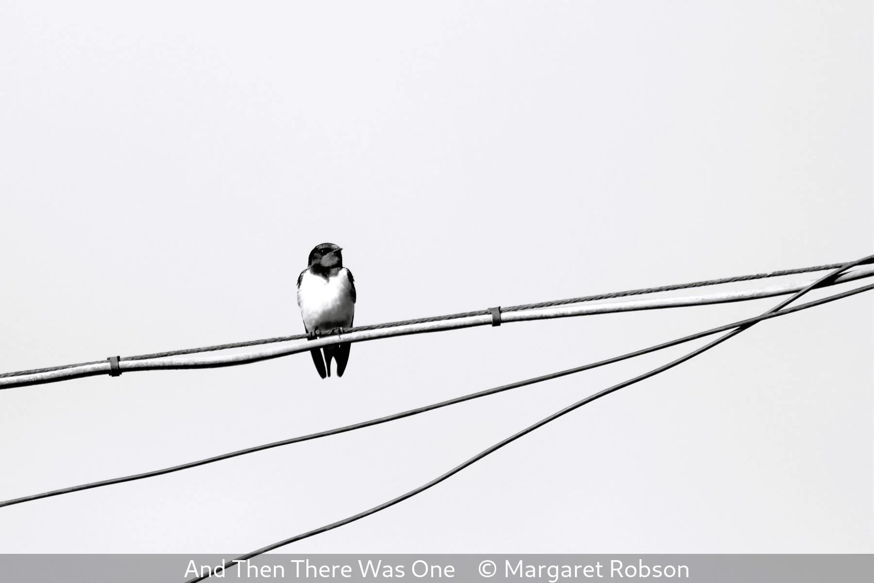 14_And Then There Was One_Margaret Robson_.jpg