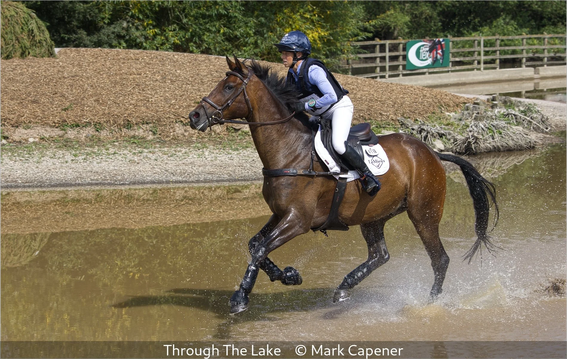 17_Through The Lake_Mark Capener_.jpg