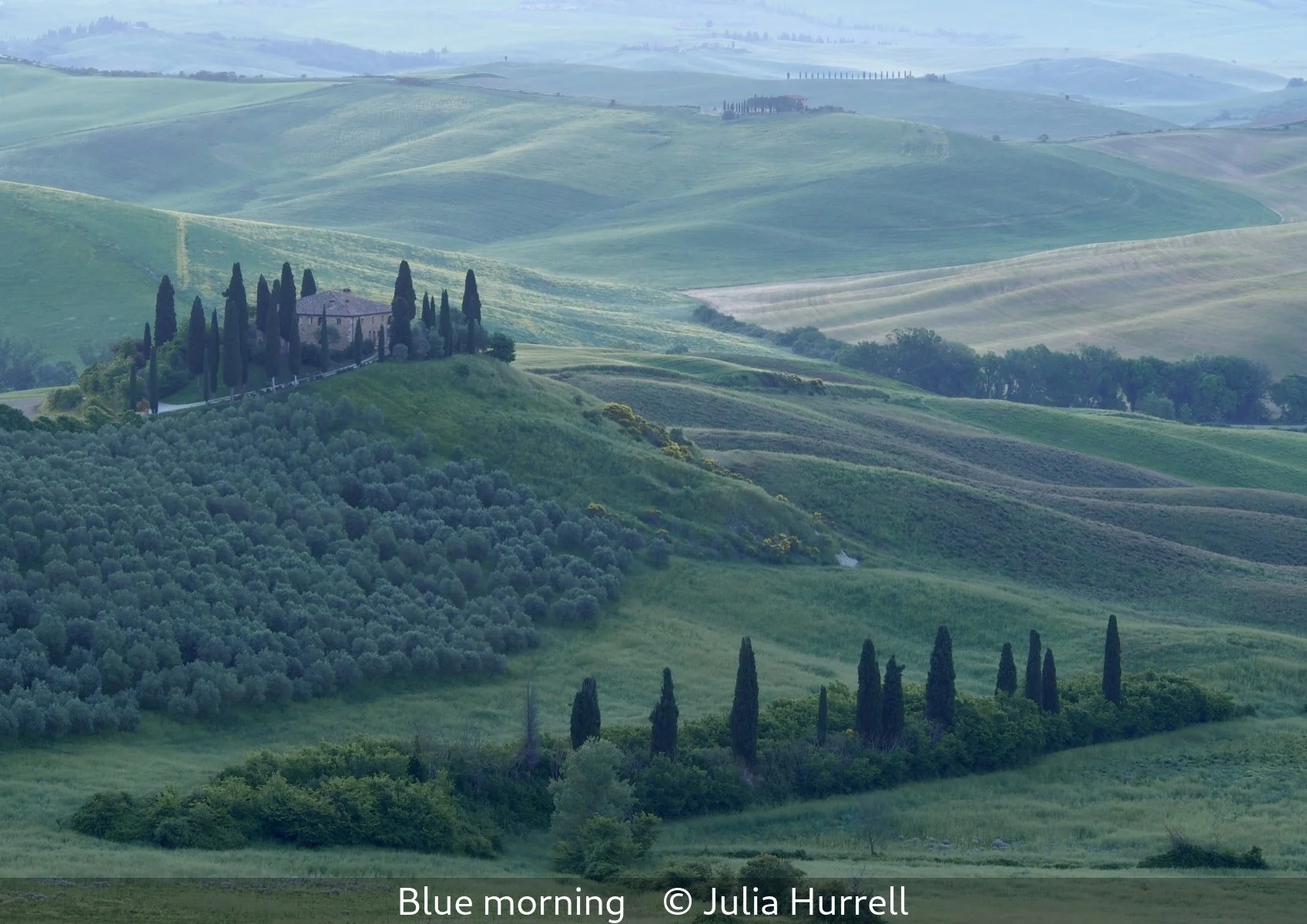 17_Blue morning_Julia Hurrell_.jpg