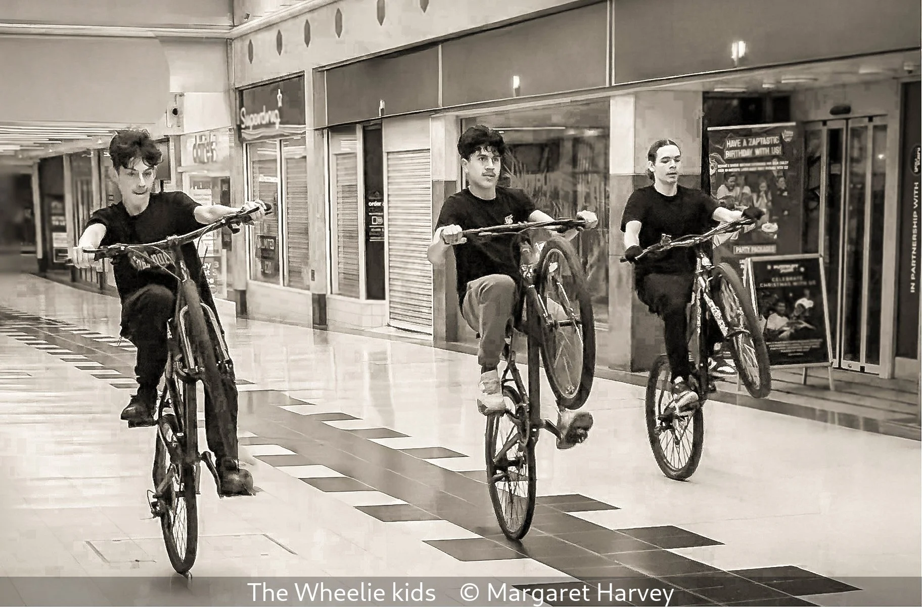 18_The Wheelie kids_Margaret Harvey_.jpg