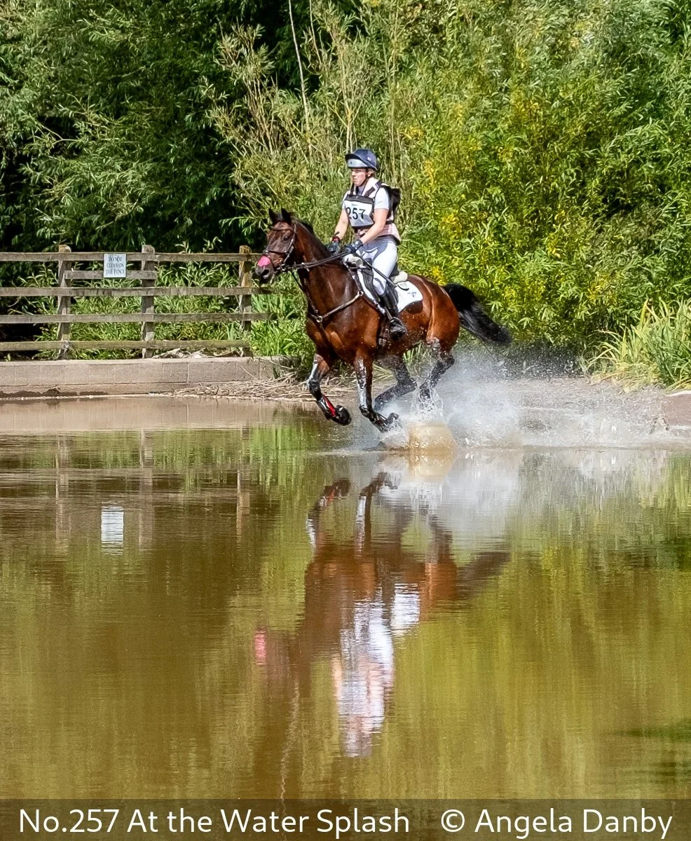 17_No.257 At the Water Splash_Angela Danby_.jpg