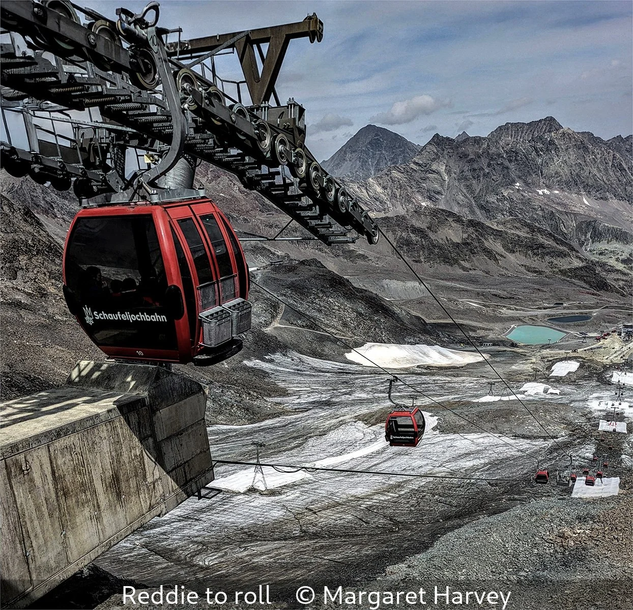 17_Reddie to roll_Margaret Harvey_.jpg