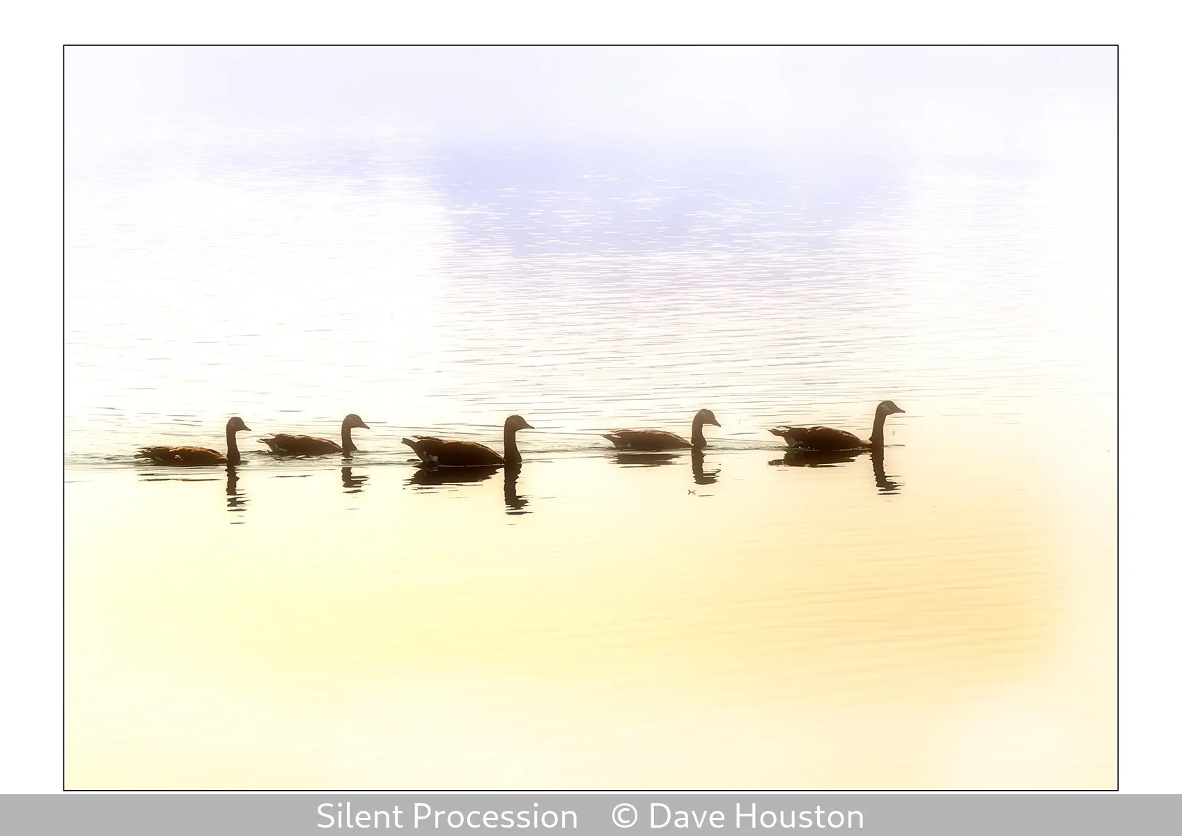 19_Silent Procession_Dave Houston_.jpg