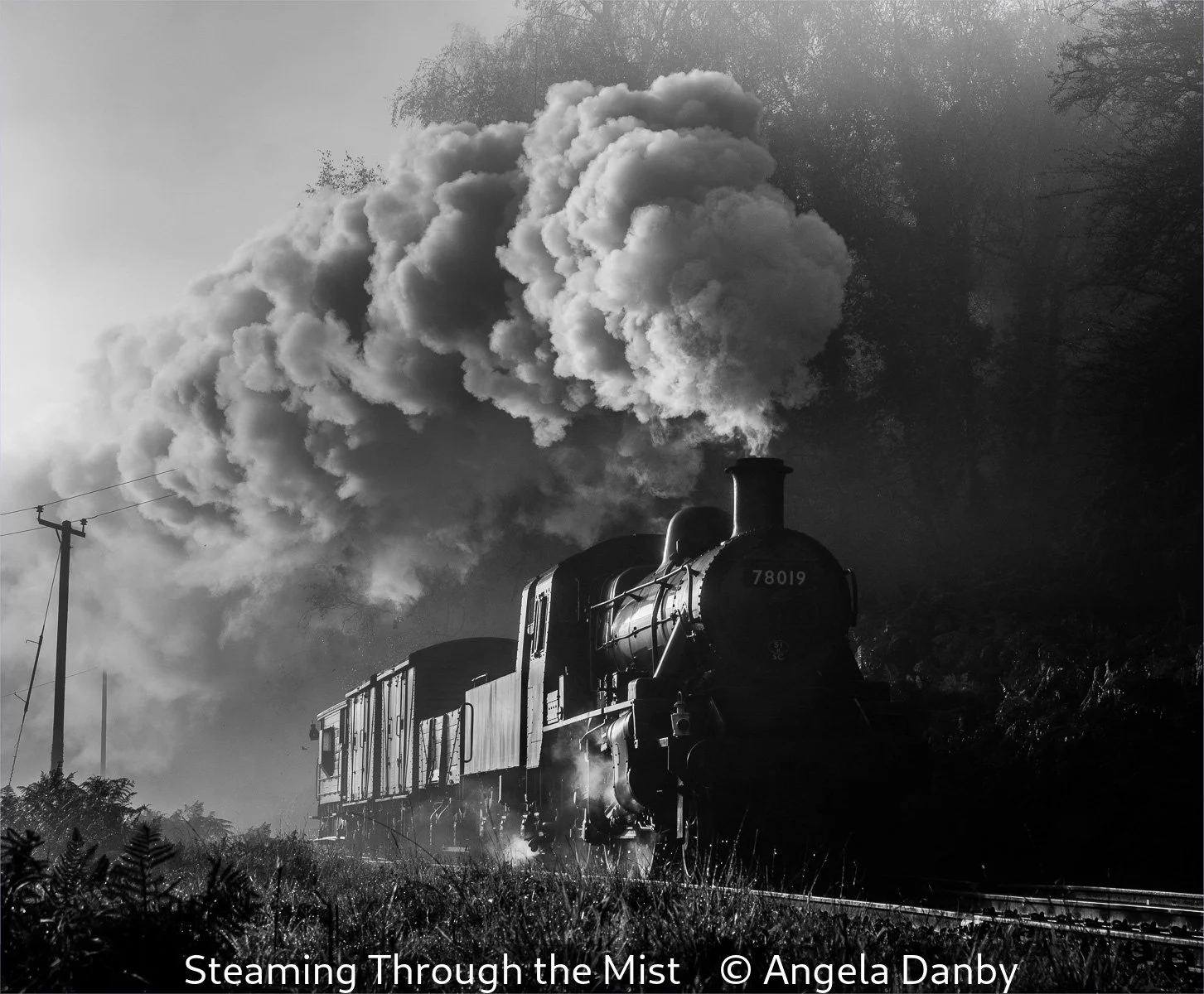 17_Steaming Through the Mist_Angela Danby_.jpg