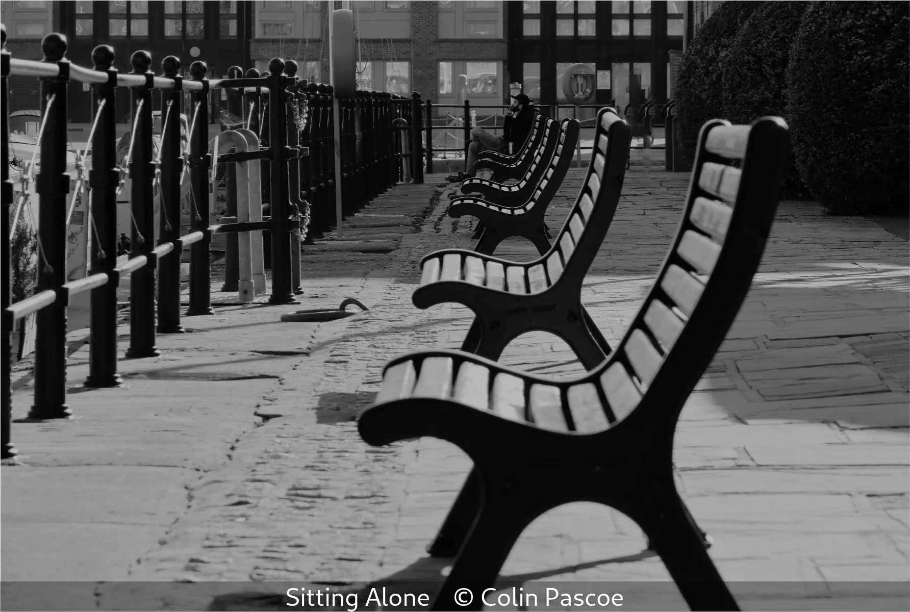 16_Sitting Alone_Colin Pascoe_.jpg