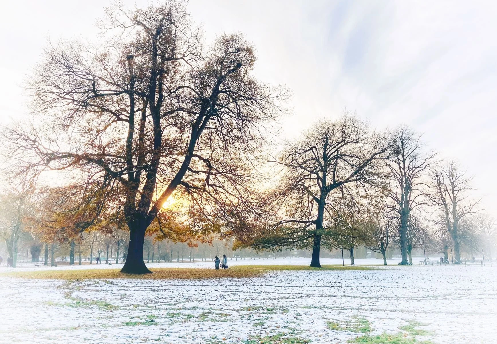 Winter Sunrise by Margaret Robson 20 points