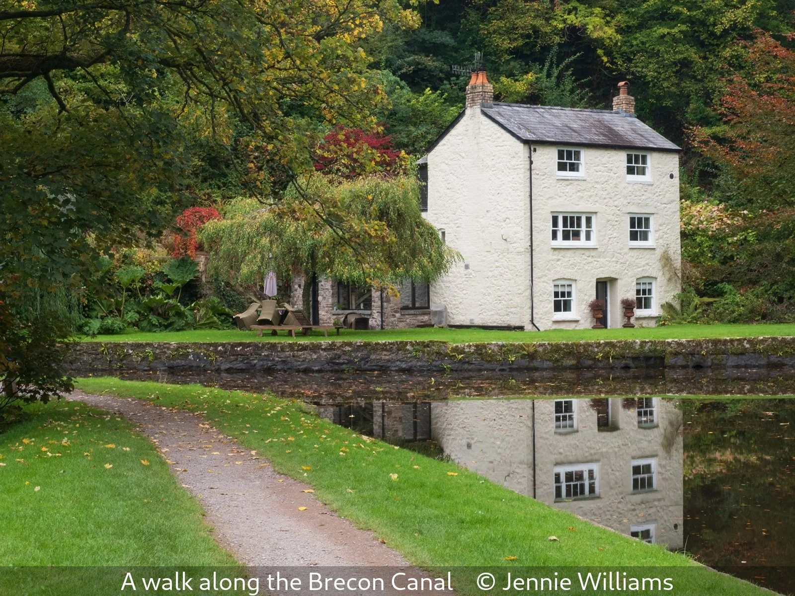 17_A walk along the Brecon Canal_Jennie Williams_.jpg