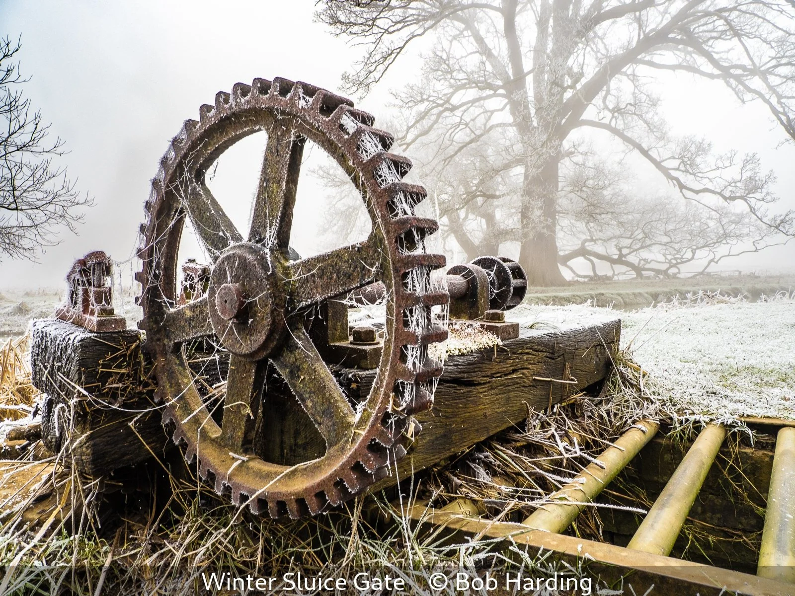 17_Winter Sluice Gate_Bob Harding_.jpg