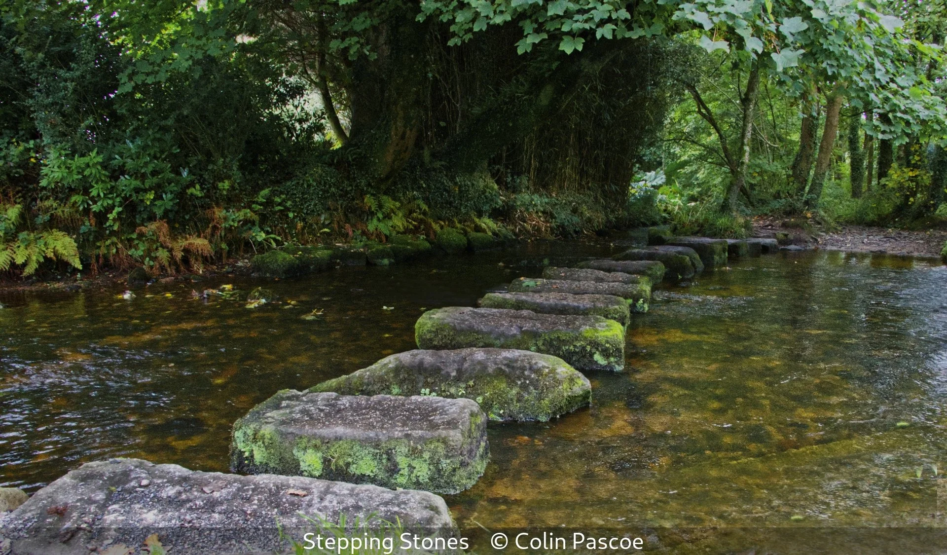 19_Stepping Stones_Colin Pascoe_.jpg