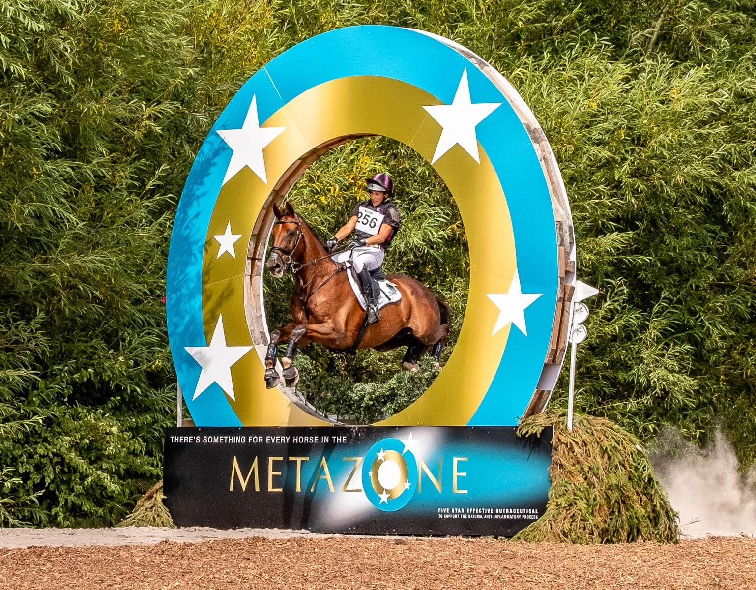 Leaping High in the Metazone by Angela Danby