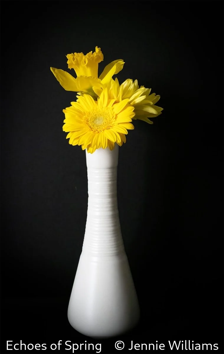 17_Echoes of Spring_Jennie Williams_.jpg