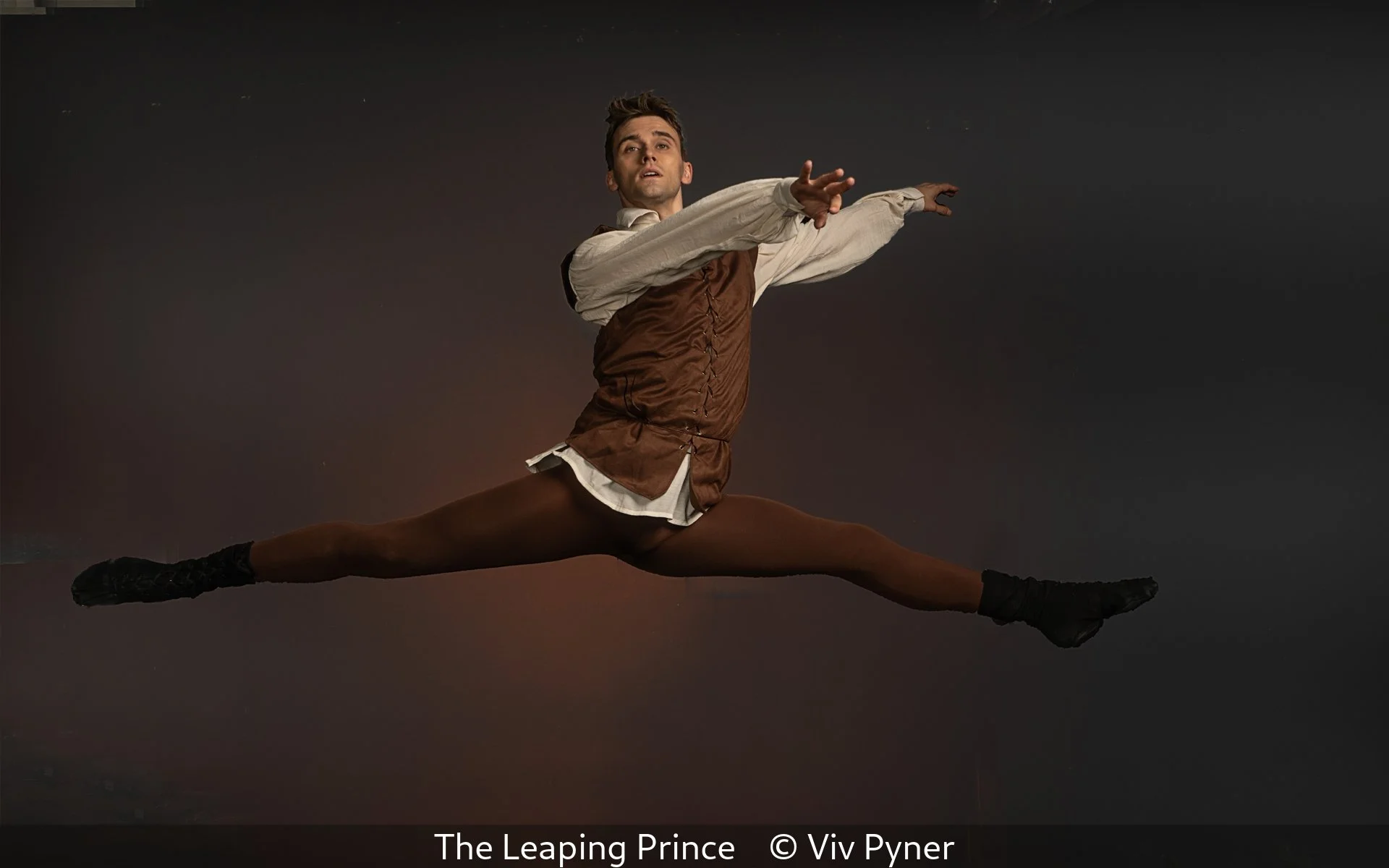 14_The Leaping Prince_Viv Pyner_.jpg