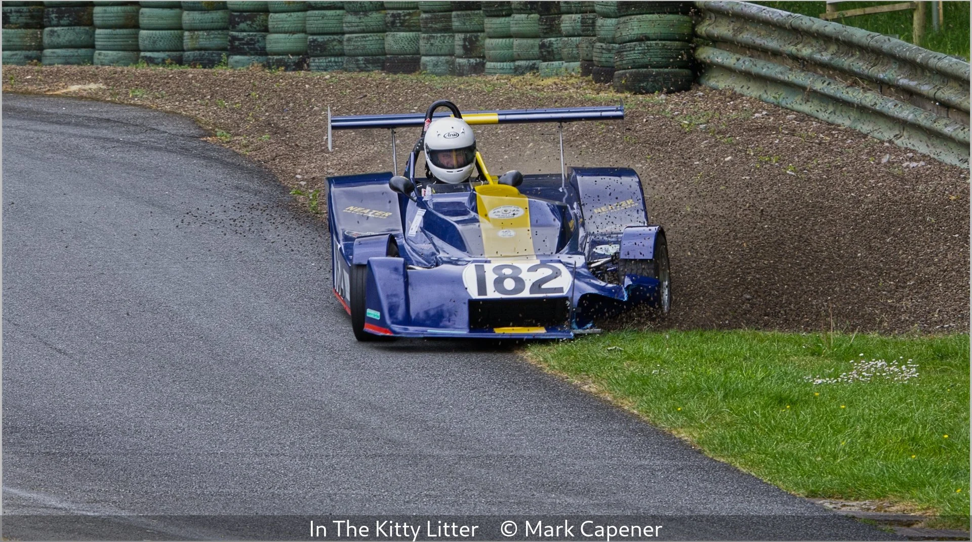 16_In The Kitty Litter_Mark Capener_.jpg