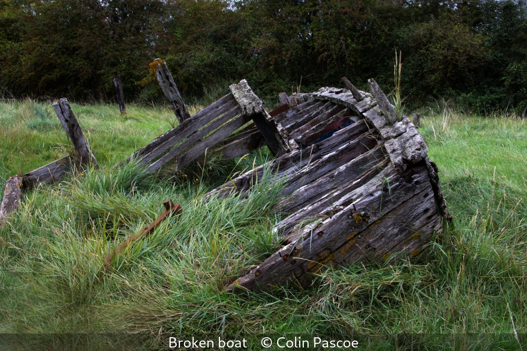 16_Broken boat_Colin Pascoe_.jpg
