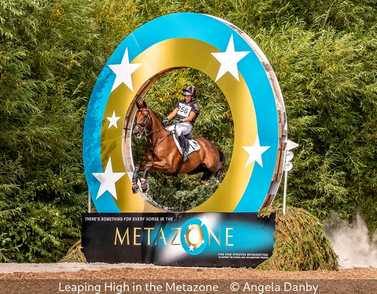 15_Leaping High in the Metazone_Angela Danby_.jpg