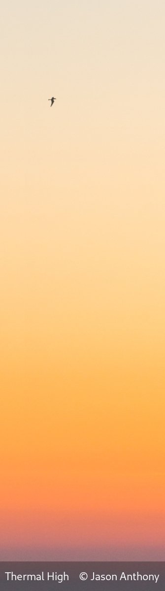 17_Thermal High_Jason Anthony_.jpg