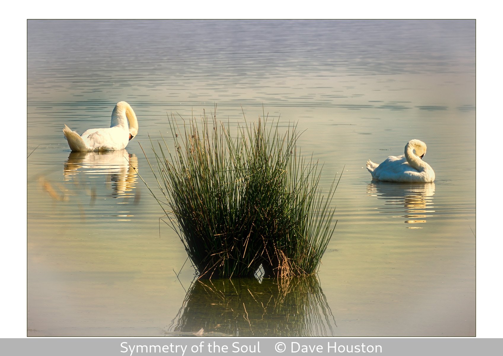 16_Symmetry of the Soul_Dave Houston_.jpg