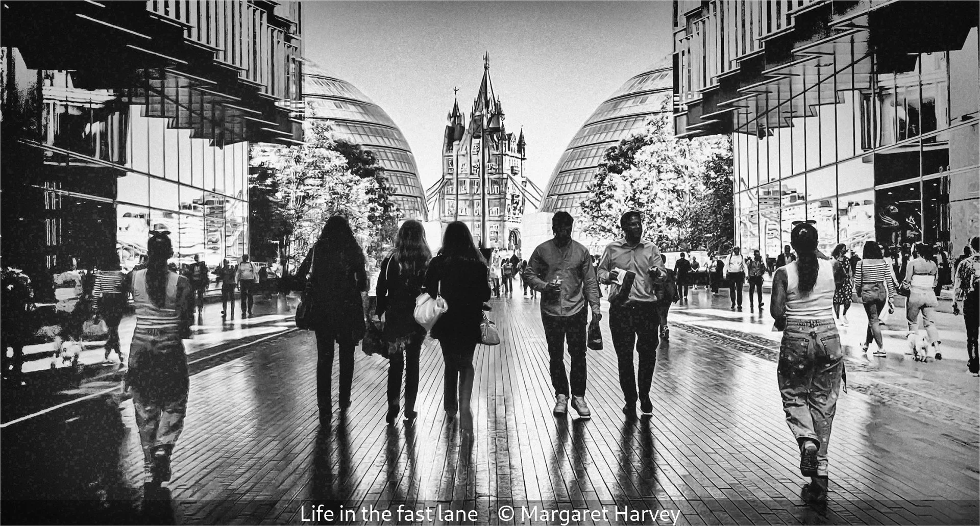 18_Life in the fast lane_Margaret Harvey_.jpg