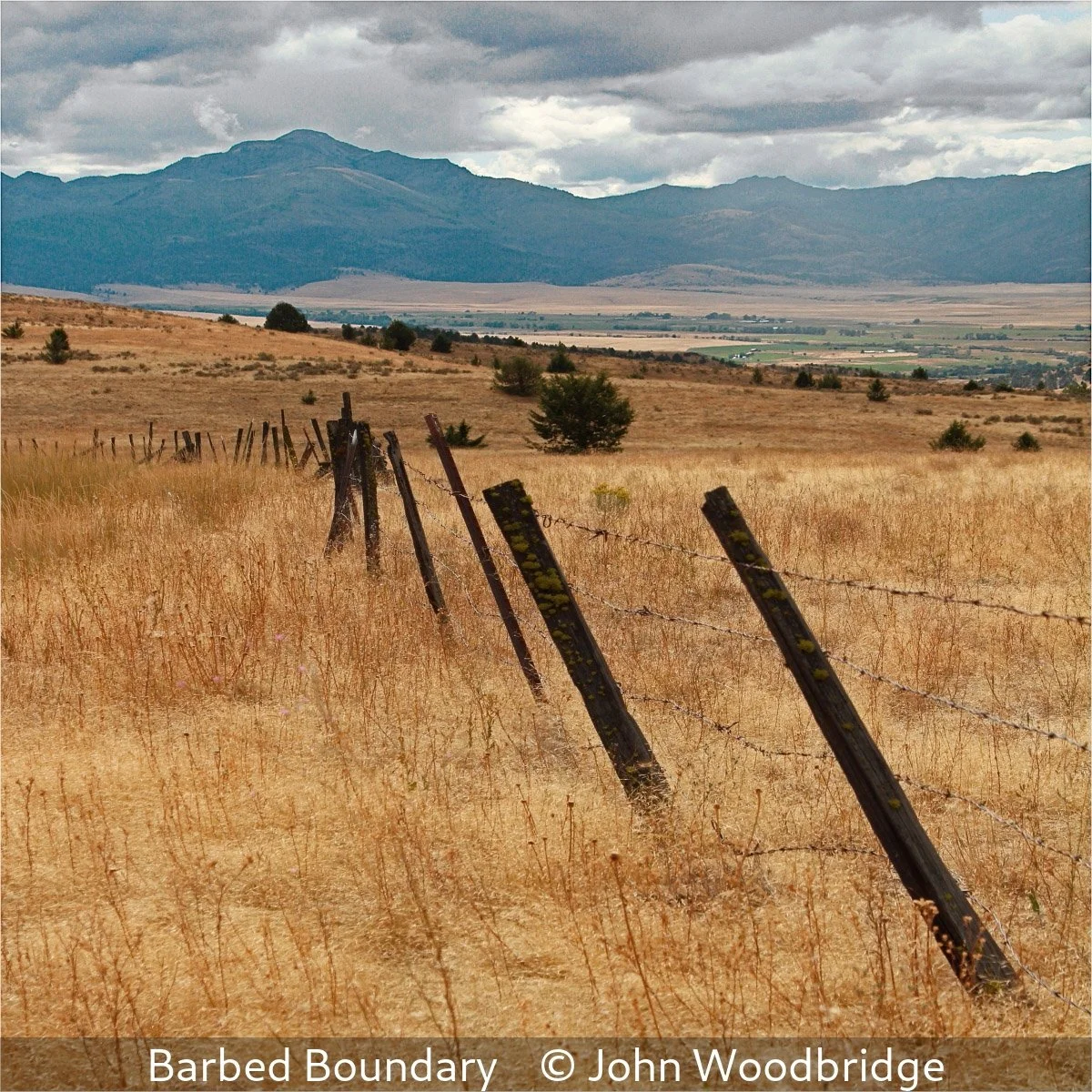 16_Barbed Boundary_John Woodbridge_.jpg
