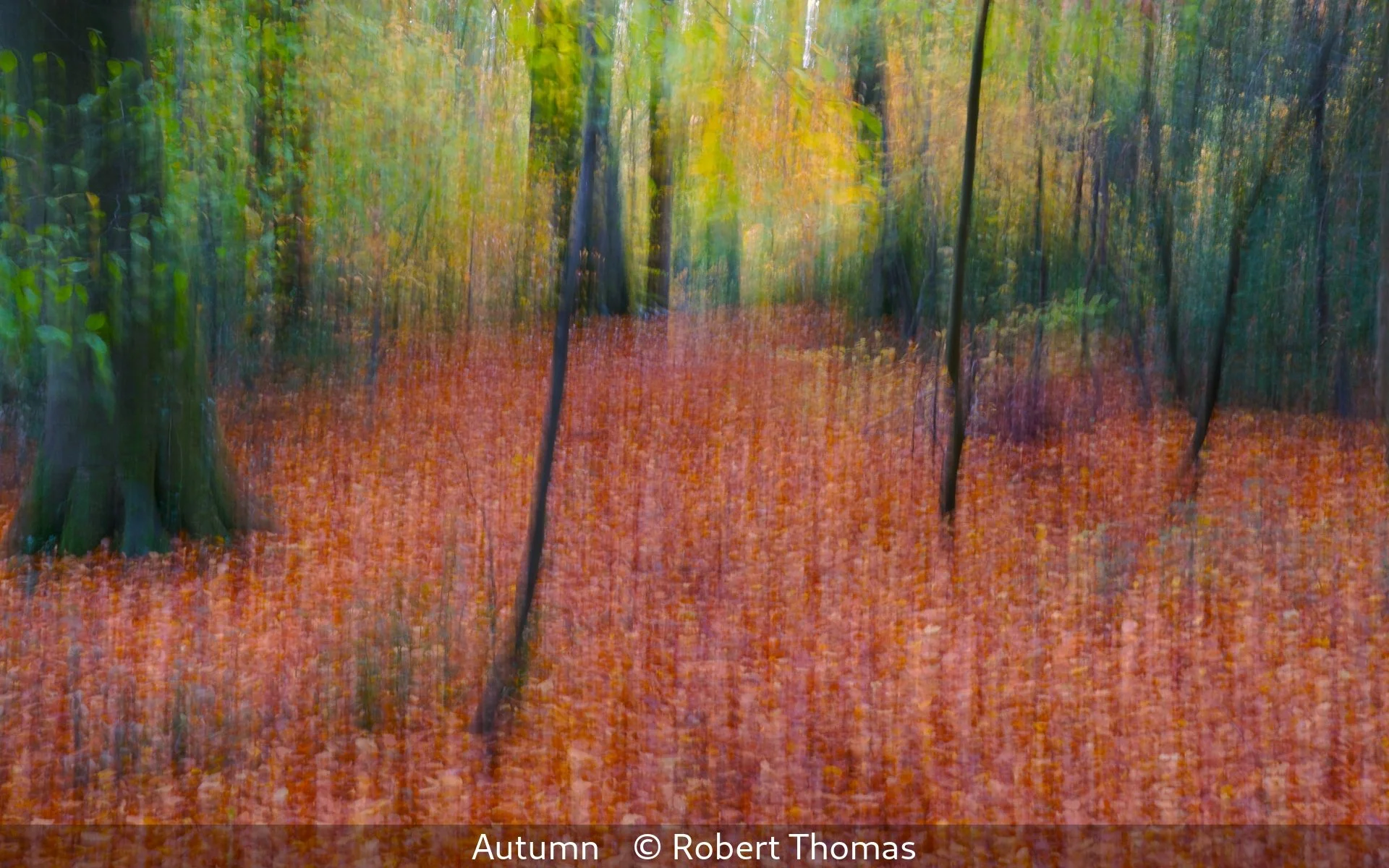 19_Autumn_Robert Thomas_.jpg