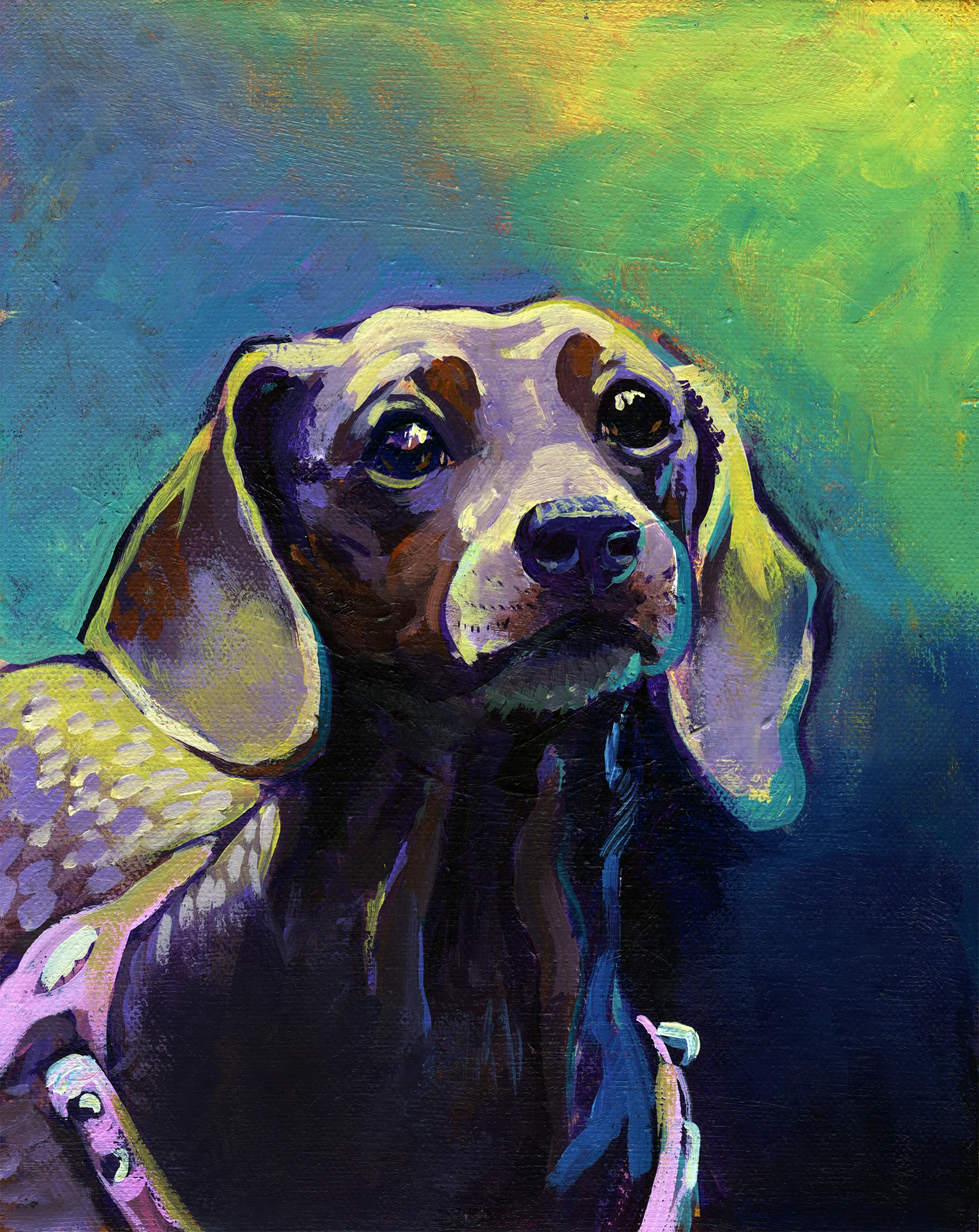 Dachsund