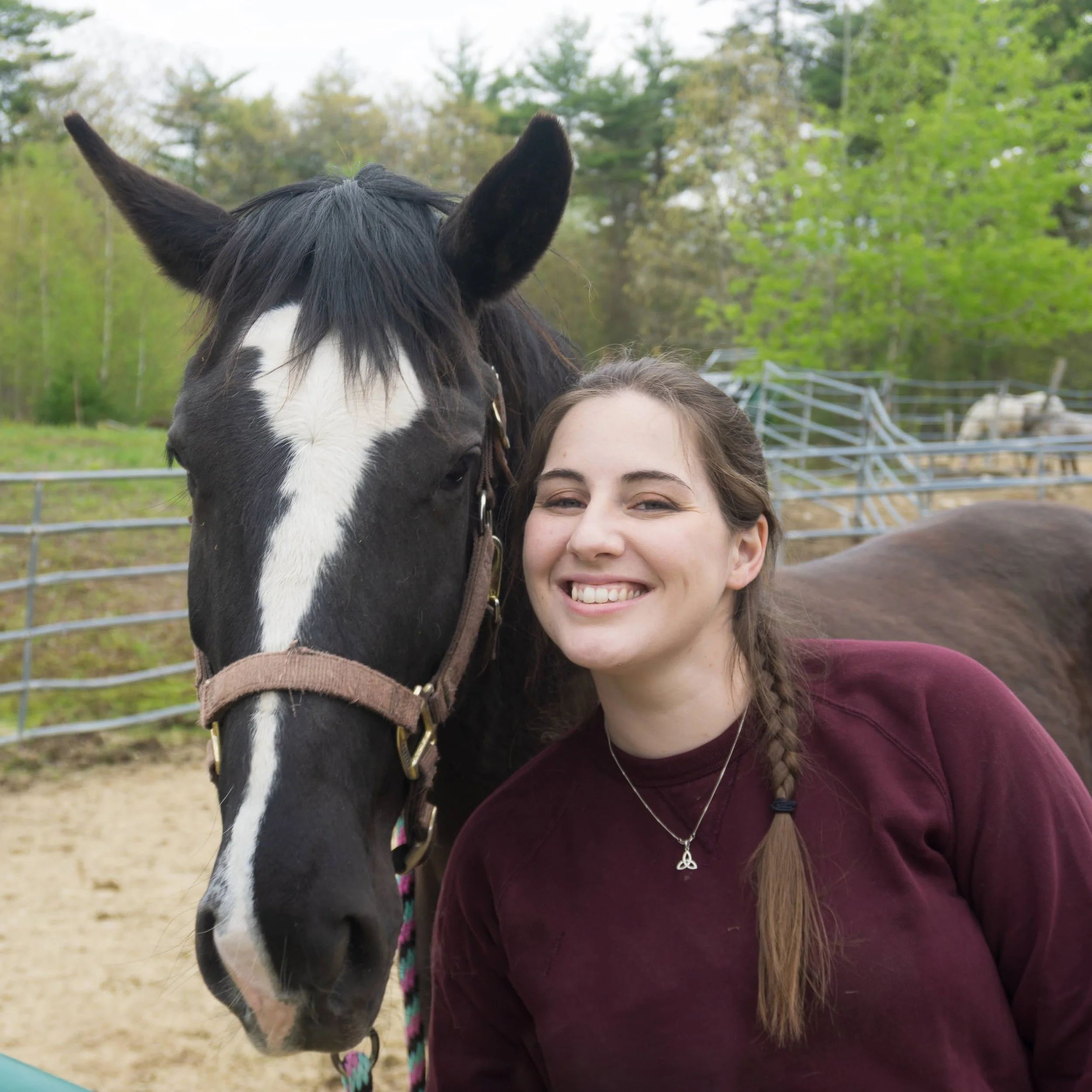 Emily Muller Thibault Artist Horse